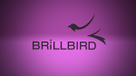 Brillbird Coupons