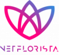 Netflorista Coupons